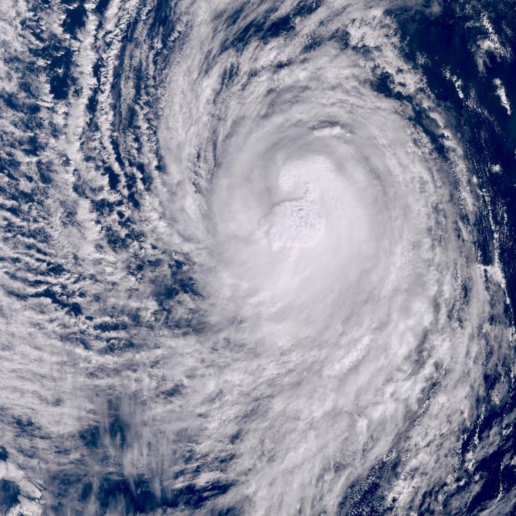 Tropical Storm Neoguri