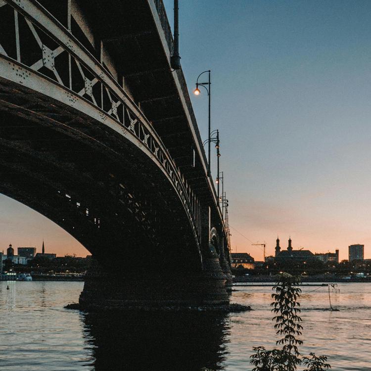 Theodor Heuss Bridge