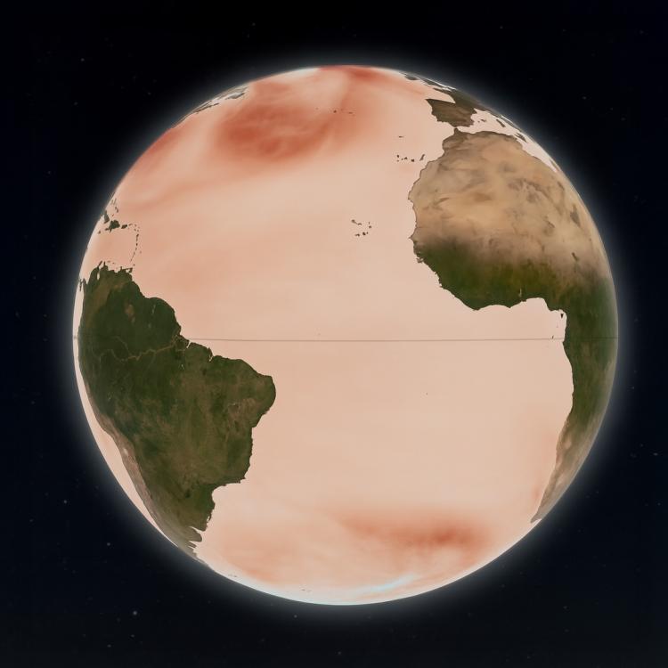 Ocean Wave Height 2024