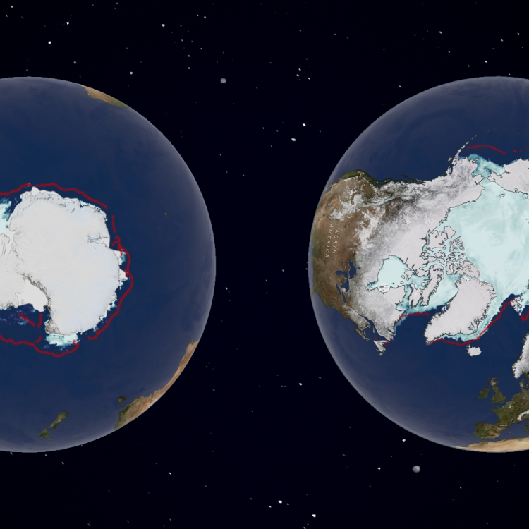 Global sea ice 2024