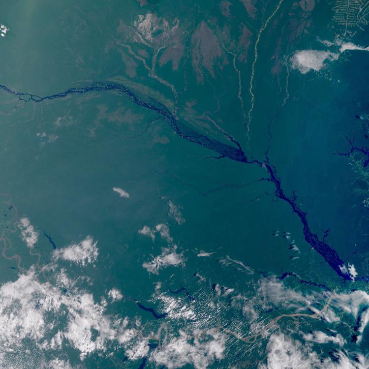 Amazon Rainforest, Sentinel-3, 2 March 2026