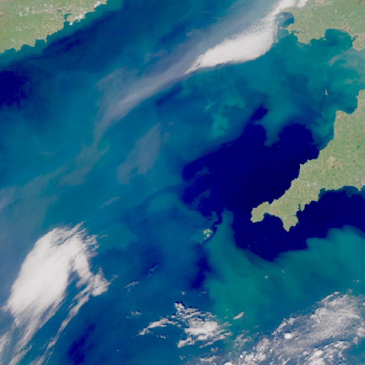 Phytoplankton, Sentinel-3, 27 April 2026