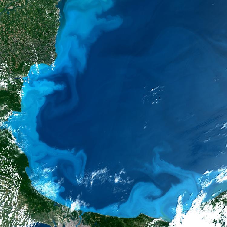 Marine algae bloom in the Black Sea, Sentinel-3, 25 May 2026