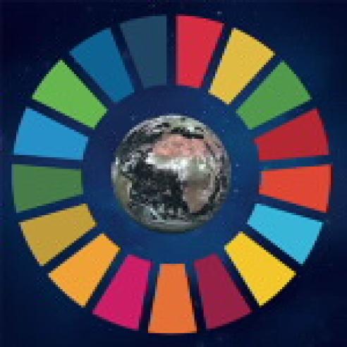 UN SDG