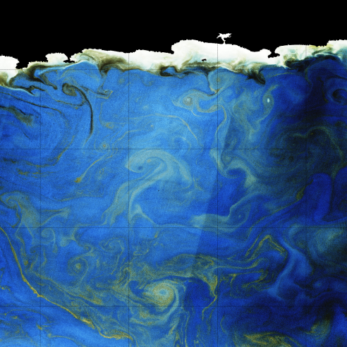  A Noctiluca scintillans bloom in the north Arabian Sea on 2 March 2017