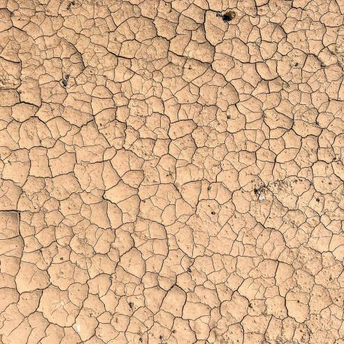 parched ground