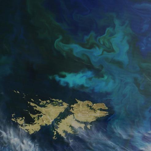Image - Sentinel-3 Launch - Ocean Colour