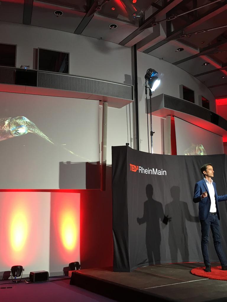 Image - Press Release - 20171116 - TEDx
