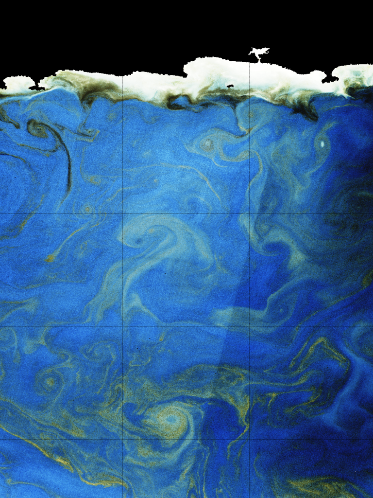  A Noctiluca scintillans bloom in the north Arabian Sea on 2 March 2017