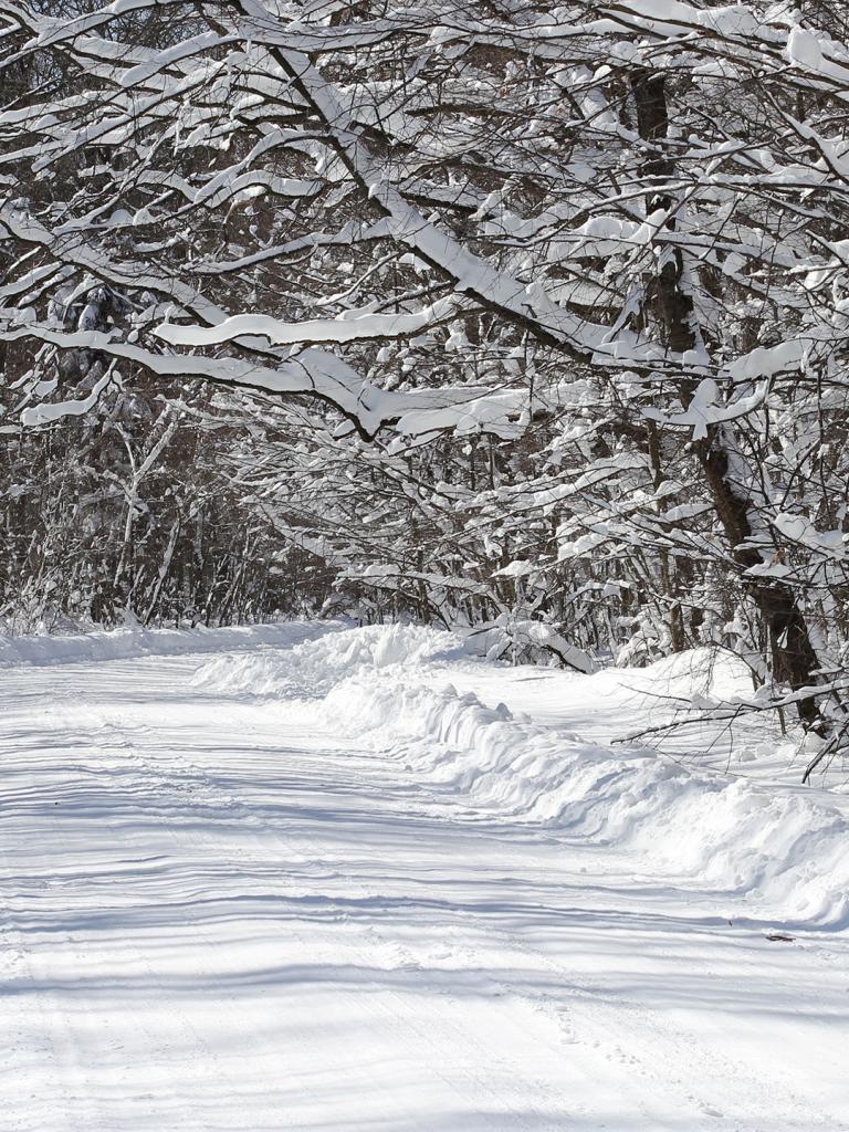 Snowy road