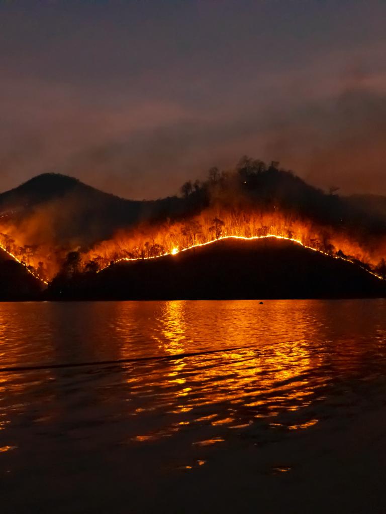 forest fire image forest fire image