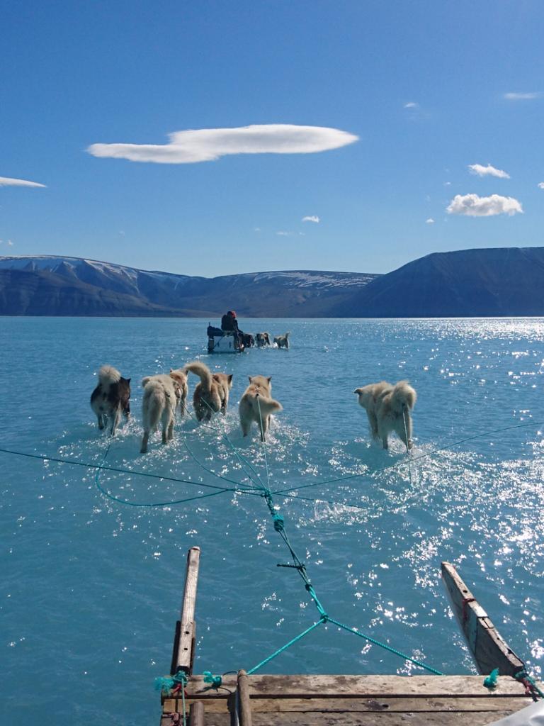 Arctic sea ice minimum 2019 – how did it fare this year Arctic sea ice minimum 2019 – how did it fare this year