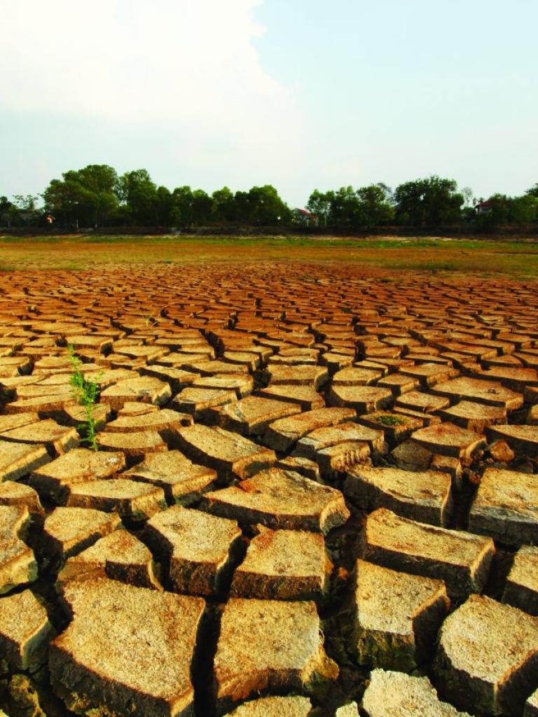 How satellites can help detect impending droughts