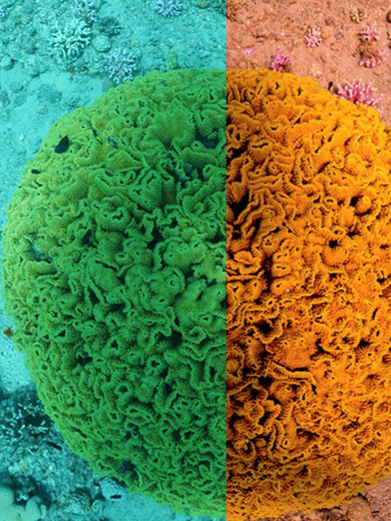 Underwater imaging enhanced with the help of Sentinel-3 Underwater imaging enhanced with the help of Sentinel-3