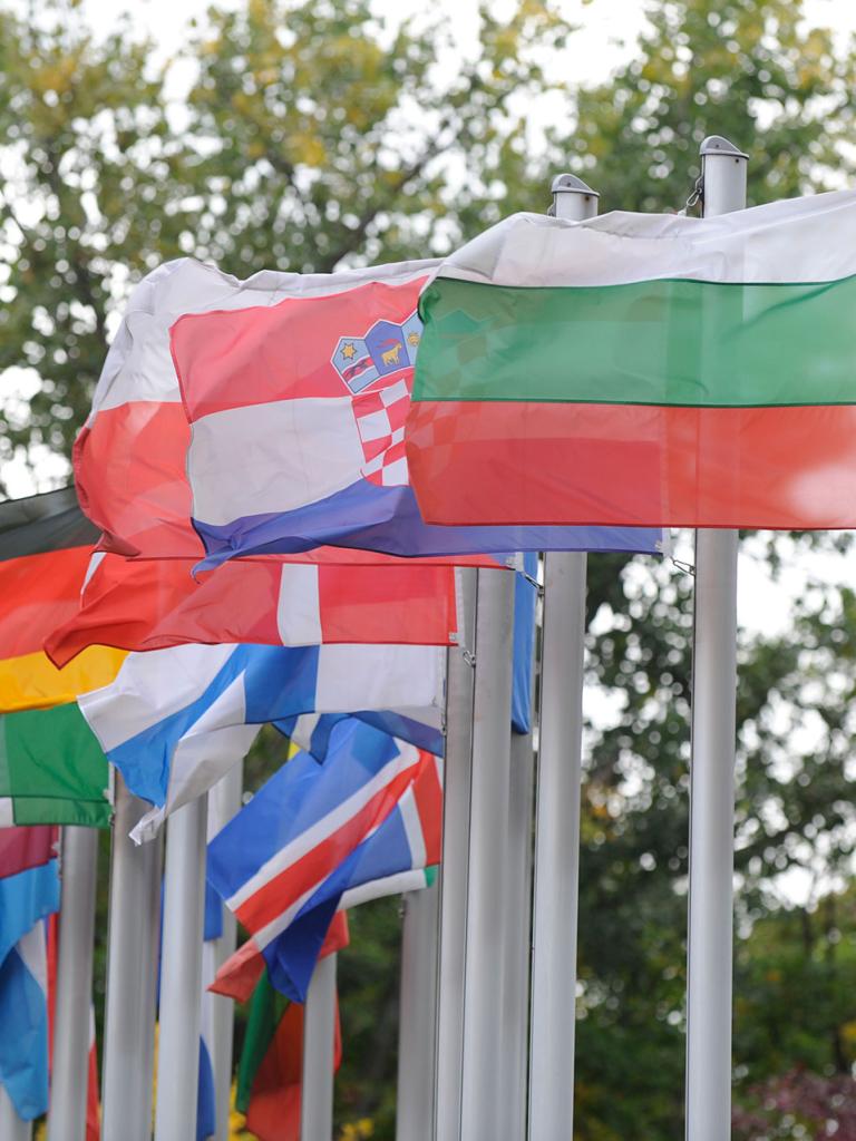 Member State Flags