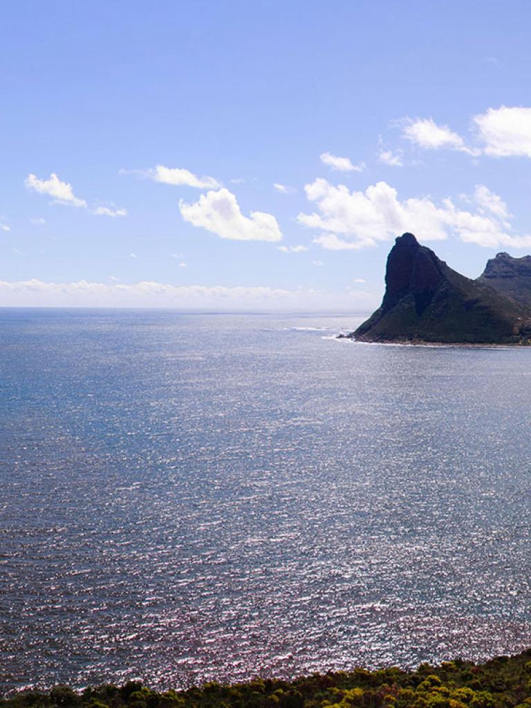 South African algal blooms