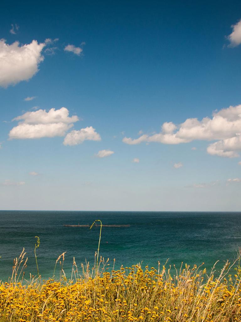 Coastal view. Credit: pxhere