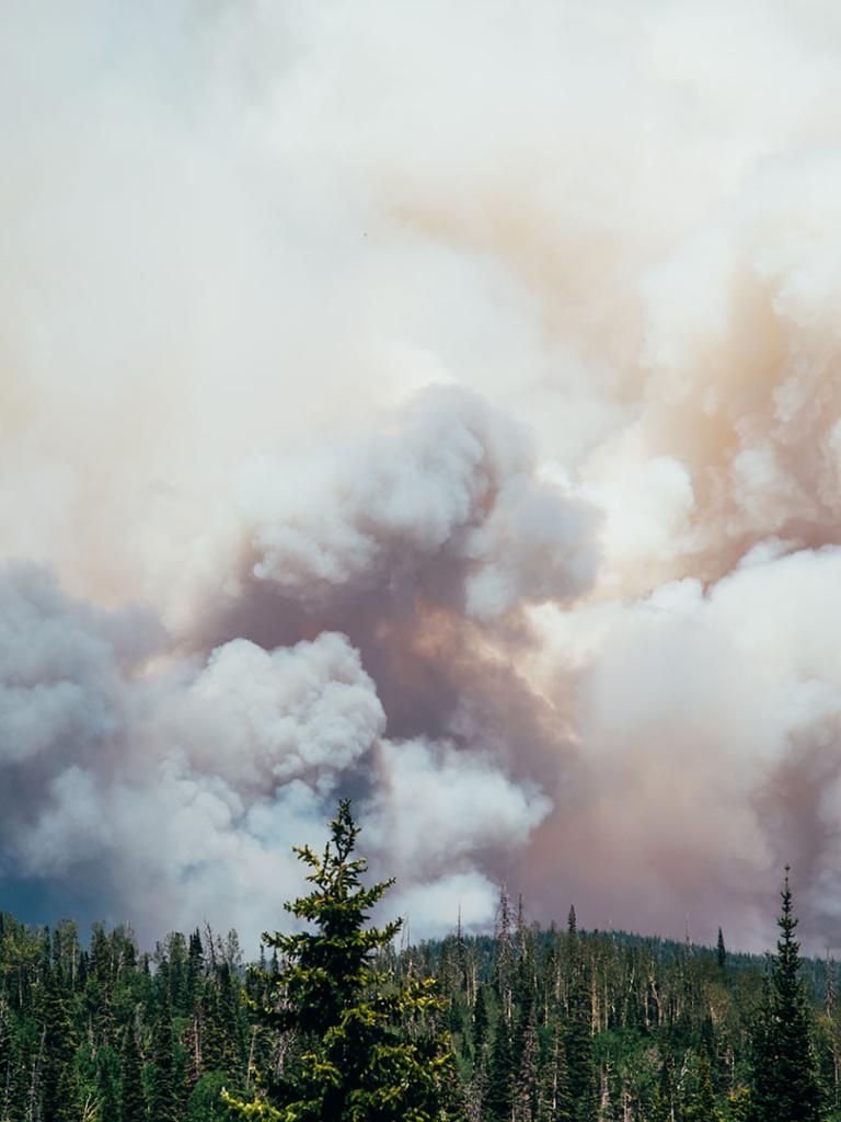 Clouds of smoke over a forest. Credit: Jordan 