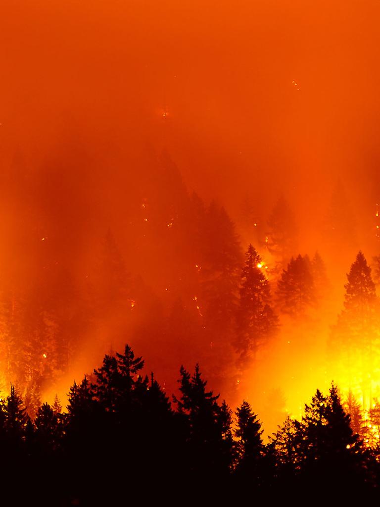 Wildfire