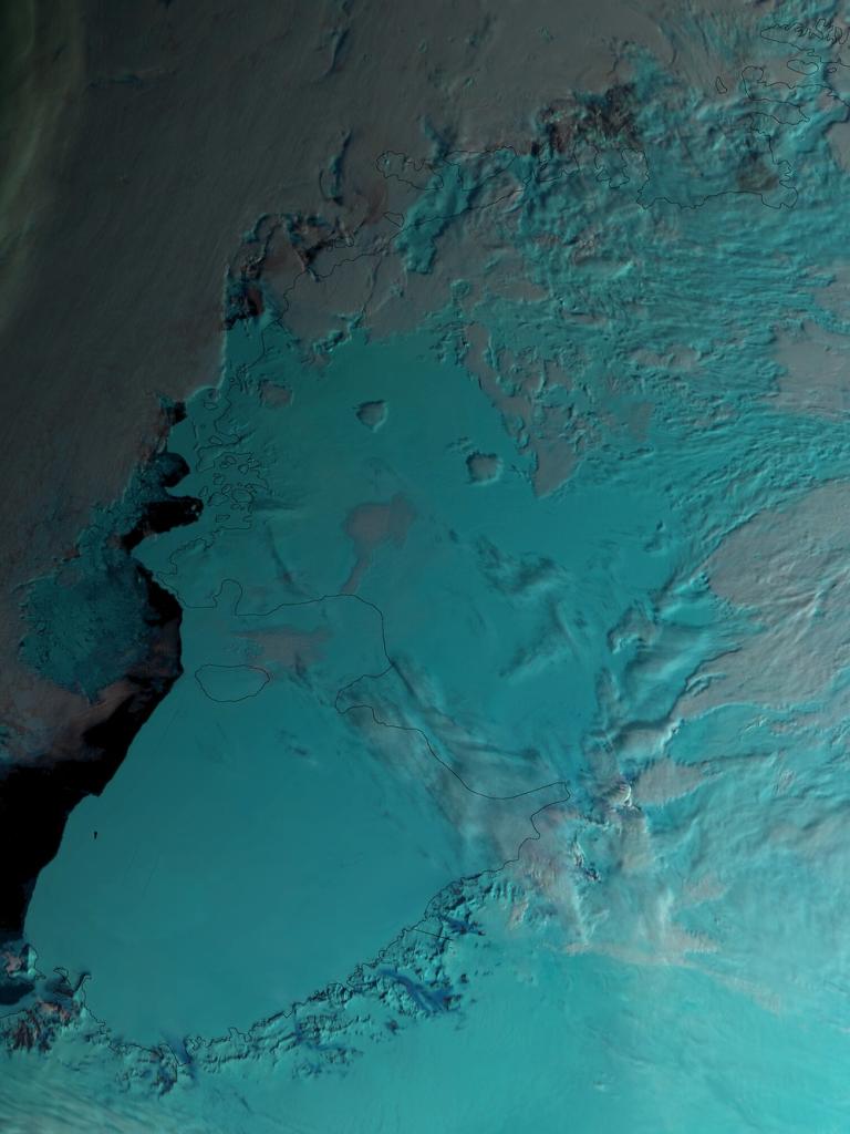 polar