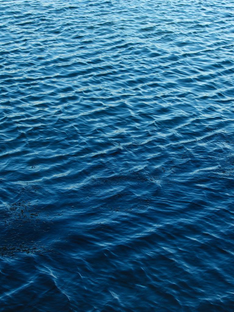 sea levels