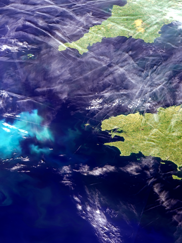 Phytoplankton blooms west of Brittany, France