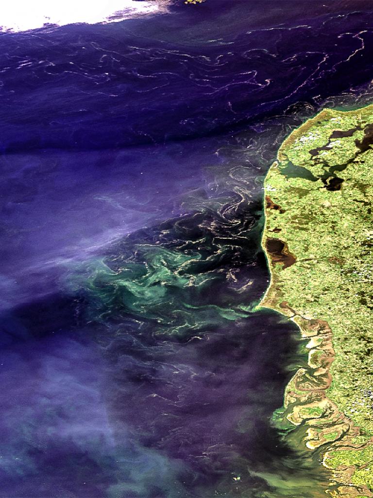 Image of the week
