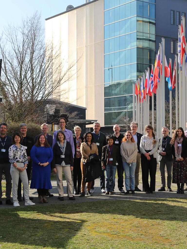 Research fellows