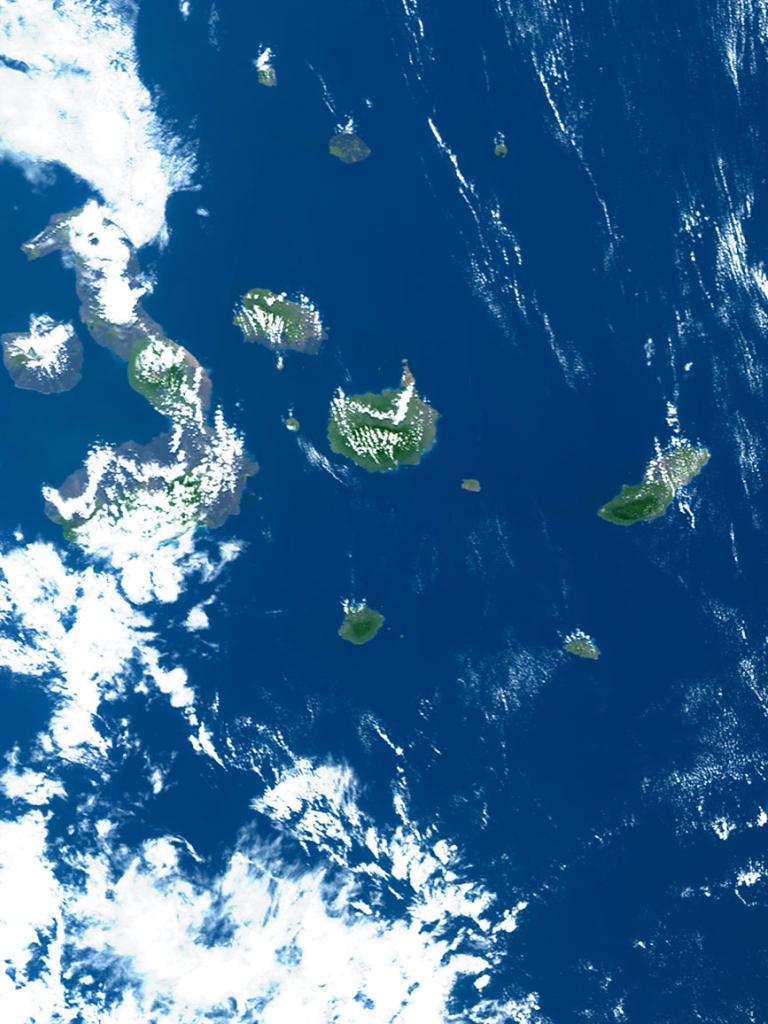 The Galápagos Islands The Galápagos Islands