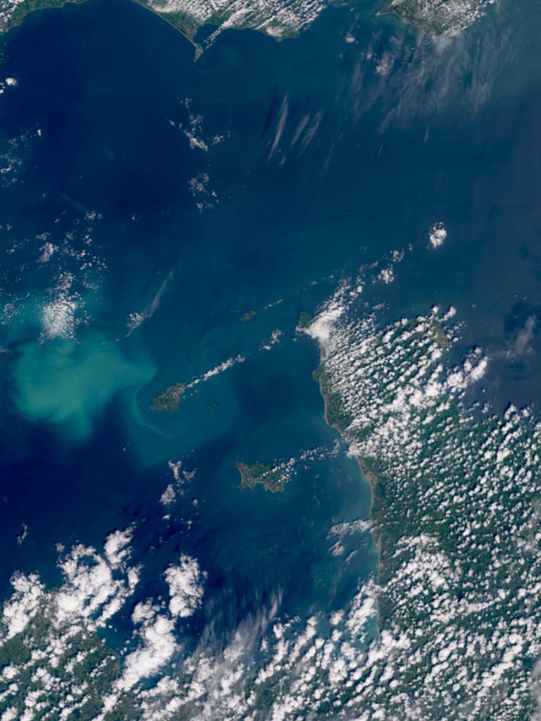 Phytoplankton bloom in English channel
