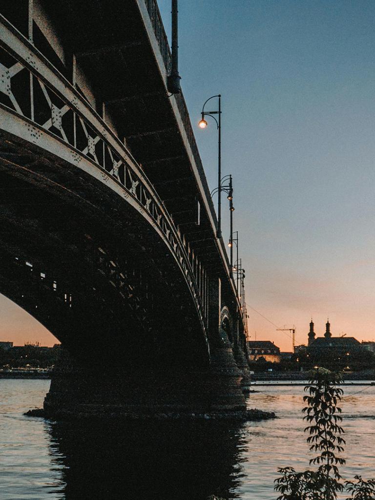 Theodor Heuss Bridge