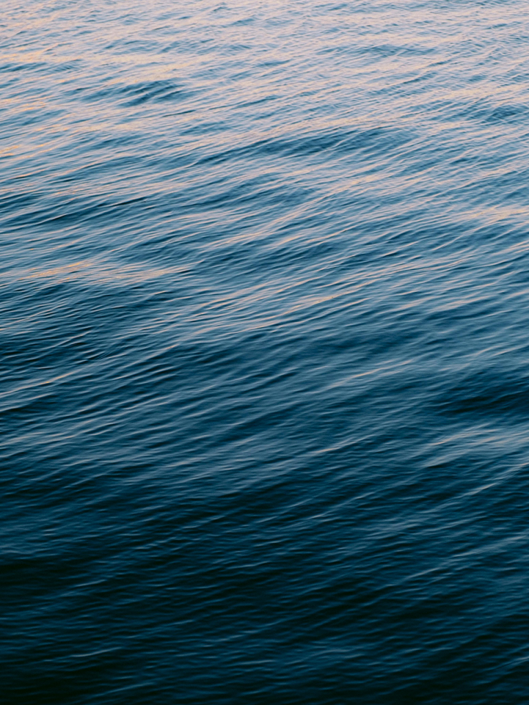 pexels matreding 17960018-sea-levels