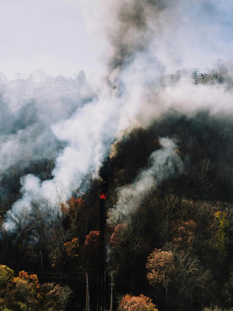 Forest Smoke Aspot