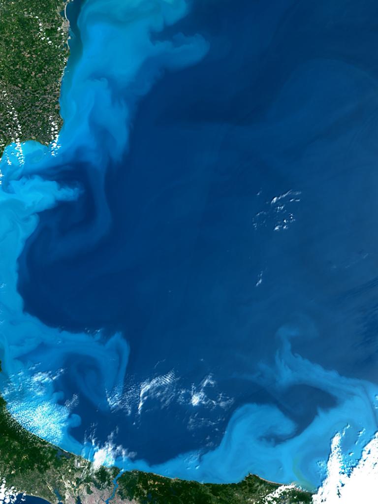 Marine algae bloom in the Black Sea, Sentinel-3, 25 May 2026