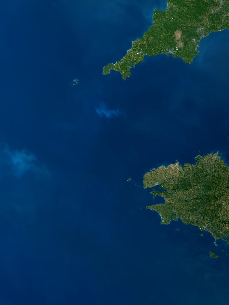 Phytoplankton in the Celtic Sea, Sentinel-3, 25 May 2026