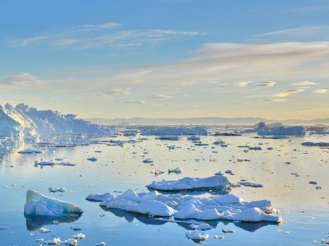 Sea ice. Credit: Hortigüela 
