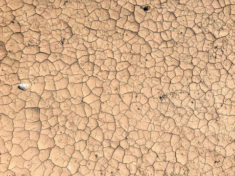 parched ground