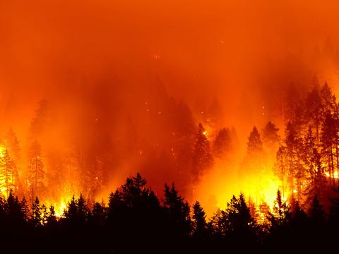 fire image
